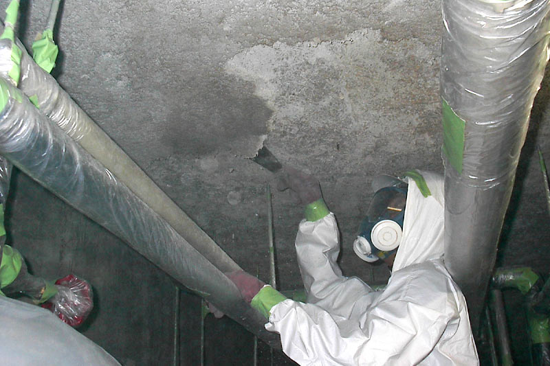 アスベスト(石綿)撤去事業